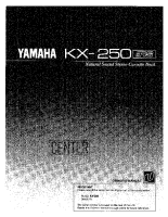 Yamaha KX-250 - Owners Manual